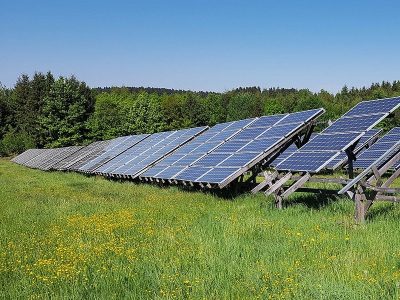 Solarparks sind ein Gewinn für die Biodiversität