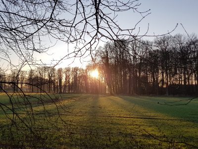 Sonne für Solarheizungen
