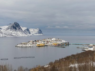 Powel will Energieversorgungsprobleme lösen