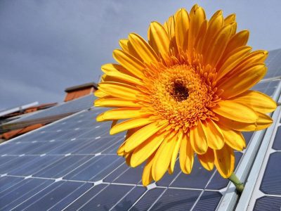 Ausgeförderte Photovoltaikanlagen