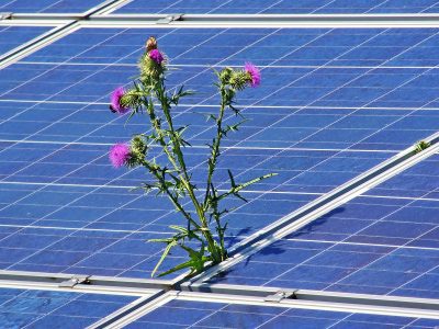 Ökostrom-Förderung