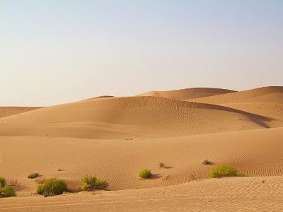 Wasserstoffwirtschaft