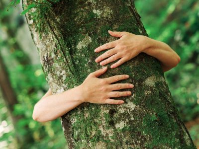 Nachhaltigkeitsbericht