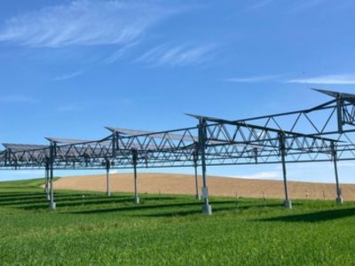 Agri-Photovoltaik schützt vor Dürre