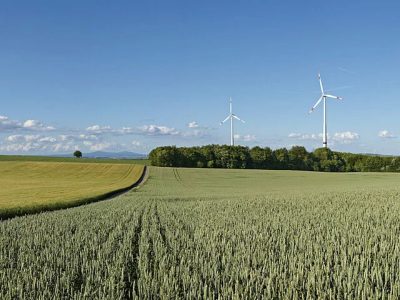 Größter Windpark