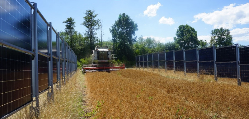 Vertikale Agri-Photovoltaik