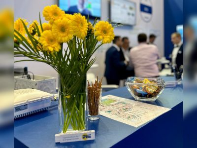 Transformationsprozesse