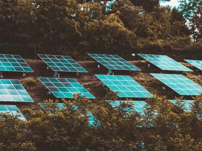 Optimierungssoftware