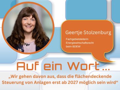 „Wir gehen davon aus, dass die flächendeckende Steuerung von Anlagen durch den Netzbetreiber erst ab 2027 möglich sein wird“