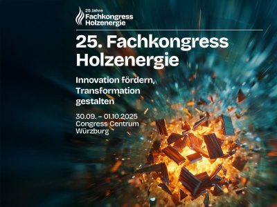 Die Teilnehmer des 25. Fachkongress Holzenergie erwartet ein vielfältiges Kongressprogramm zum Thema Holzenergie, über 60 RednerInnen und mit mehr als 250 Teilnehmenden.