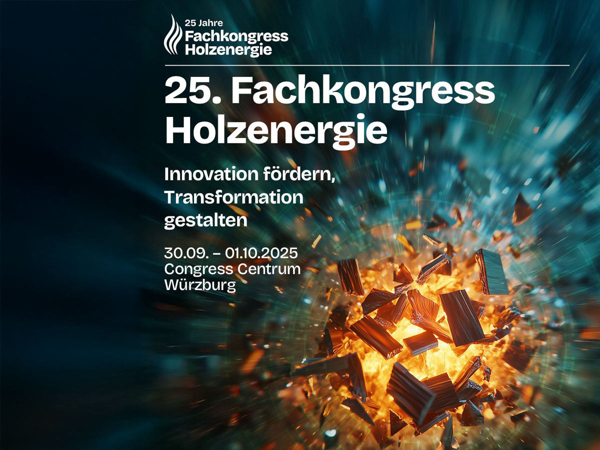 Die Teilnehmer des 25. Fachkongress Holzenergie erwartet ein vielfältiges Kongressprogramm zum Thema Holzenergie, über 60 RednerInnen und mit mehr als 250 Teilnehmenden.