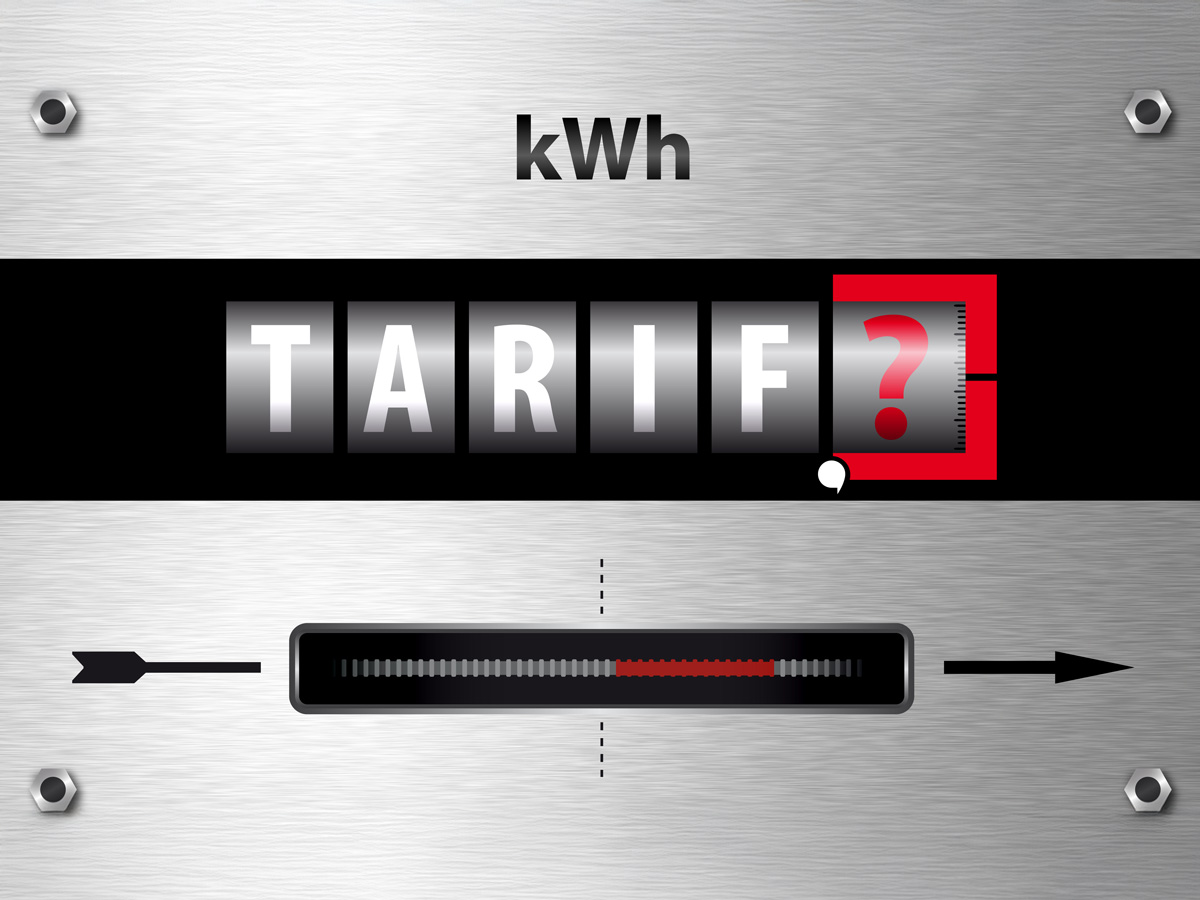 Wechslerstudie Energie: Die ausgewählten Filtereinstellungen zeigen, wonach Strom- und Gaswechsler aktiv suchen – von „keine Boni einrechnen“ über Preisgarantie-Dauer und Vertragslaufzeit bis hin zu Öko-Qualität.