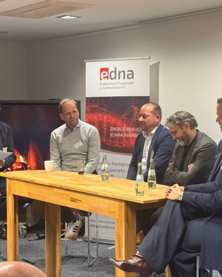 Angeregte Diskussion über die Regulierung beim 11. edna Kamingespräch.