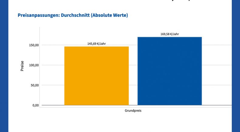 Diese Visualisierung zeigt die Preisanpassungen für verschiedene Anbietercluster in Deutschland. Die Daten umfassen Grundpreis, Arbeitspreis und effektiven Arbeitspreis vor und nach der Preisanpassung.