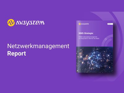 Der Report zum SMGW-Management von AVSystem.