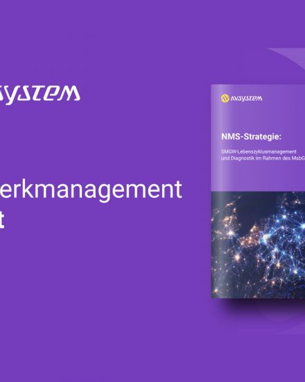 Der Report zum SMGW-Management von AVSystem.