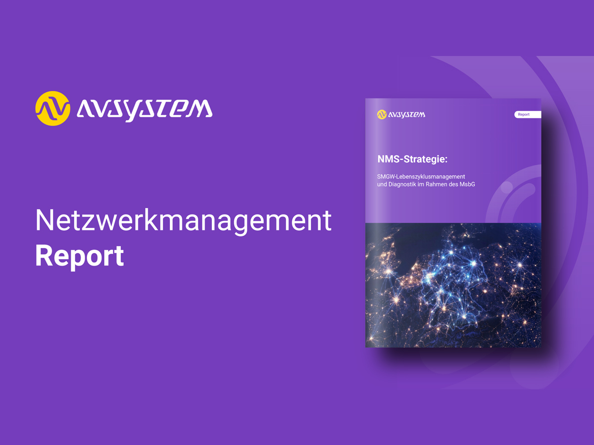Der Report zum SMGW-Management von AVSystem.