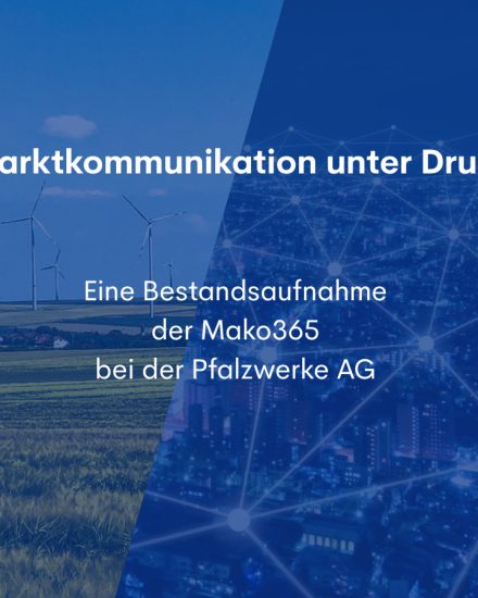 Im Verlauf der Analyse zur Marktkommunikation kristallisierten sich drei zentrale Themenfelder heraus: Team, Systeme und Regulatorik.
