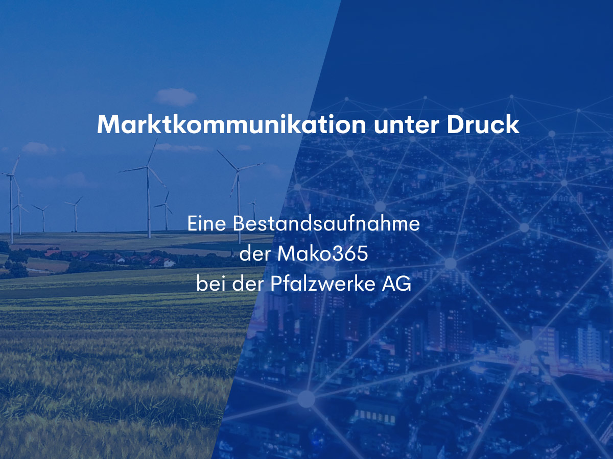 Im Verlauf der Analyse zur Marktkommunikation kristallisierten sich drei zentrale Themenfelder heraus: Team, Systeme und Regulatorik.